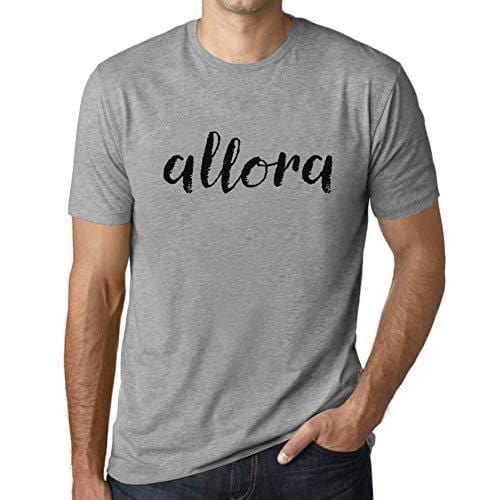 Ultrabasic - Homme T-Shirt Graphique Allora Gris Chiné