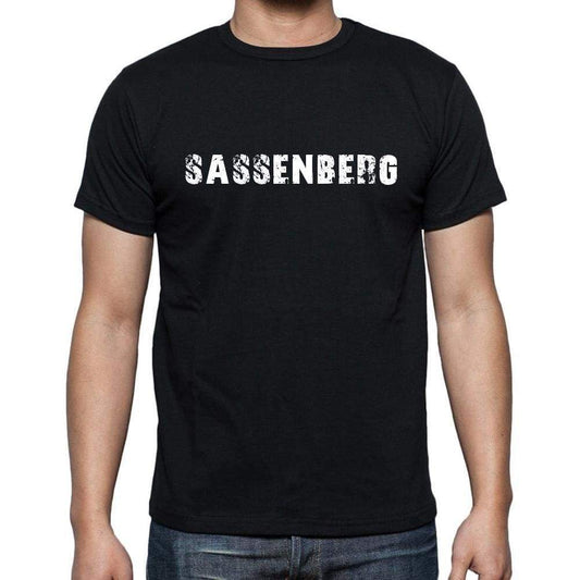 Sassenberg Mens Short Sleeve Round Neck T-Shirt 00003 - Casual